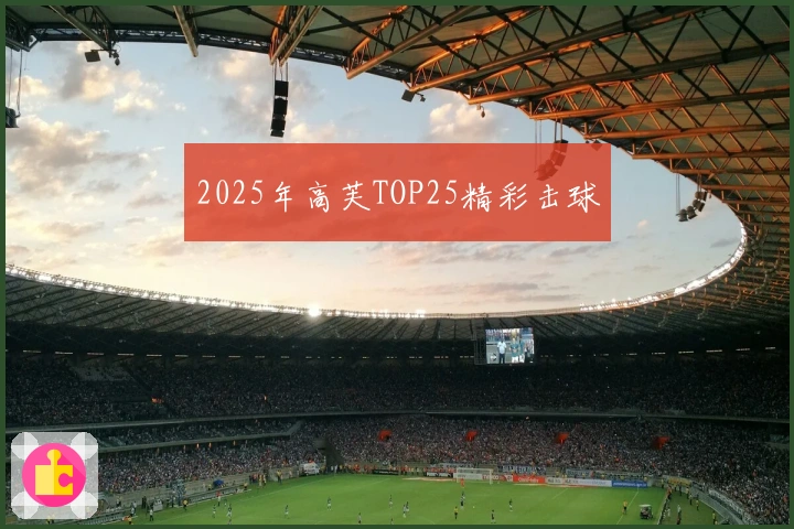 2025年高芙TOP25精彩击球