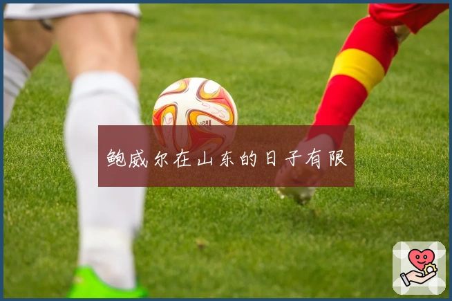 鲍威尔在山东的日子有限