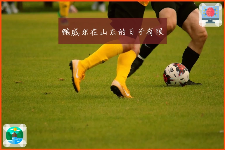 鲍威尔在山东的日子有限